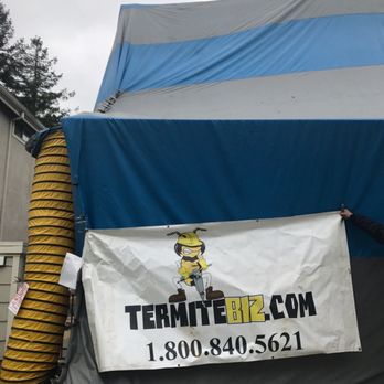 Termite Biz - Fumigation by Termite Biz. - Pest Control Near Me Termite Biz - Fumigation by Termite Biz. - Pest Control Near Me