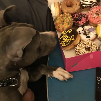 Pinkbox Doughnuts - Stormee approved, looking for the one she wants! - Donuts Near Me - Henderson, Nevada Pinkbox Doughnuts - Stormee approved, looking for the one she wants! - Donuts Near Me - Henderson, Nevada