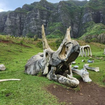 Kualoa Ranch - Boneyard... - Tours Near Me - Kaneohe, Hawaii Kualoa Ranch - Boneyard... - Tours Near Me - Kaneohe, Hawaii