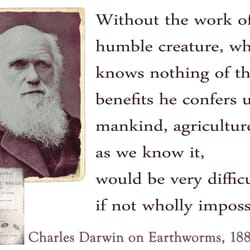 Darwin spent 29 years studying and writing about earthworms. He even wrote an entire book on them!