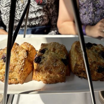 River Fox Train - Blueberry scones - Tours Near Me - West Sacramento, California
