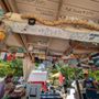 Photo of Dany's Beach bar
