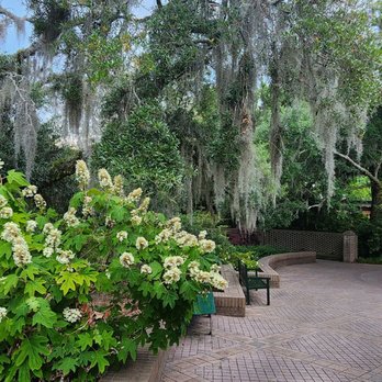 Brookgreen Gardens - Museums Near Me - Murrells Inlet, South Carolina