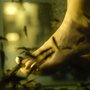 Photo of X Feet
