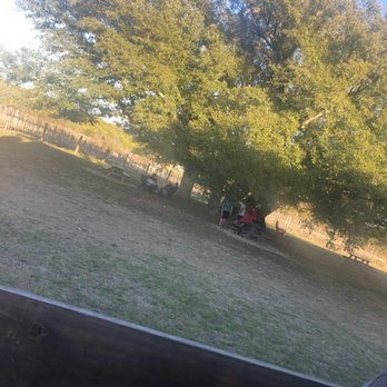 7 Creeks Vineyard - Wineries Near Me - Burnet, Texas 7 Creeks Vineyard - Wineries Near Me - Burnet, Texas