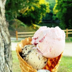 Deep Creek Grill - The Triple Crown: Strawberry, Cappuccino Crunch & Chocolate Chip Cookie Dough! With river views!