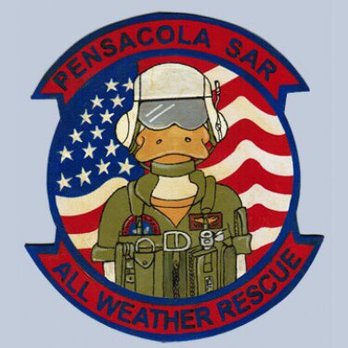 Pensacola Nas - Pensacola SAR - Public Services & Government Near Me - Pensacola, Florida Pensacola Nas - Pensacola SAR - Public Services & Government Near Me - Pensacola, Florida