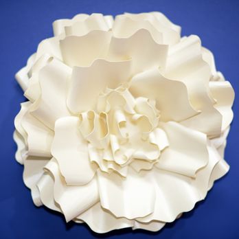 MKKeller Paper Flower - Paper Flower - Florists Near Me - Fort Lauderdale, Florida MKKeller Paper Flower - Paper Flower - Florists Near Me - Fort Lauderdale, Florida