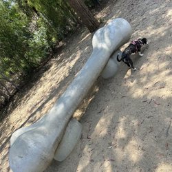 Moorpark Dog Park