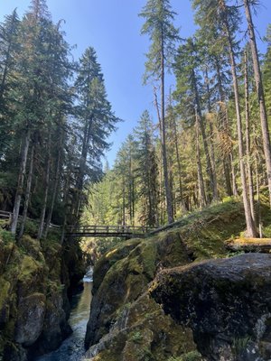 Ohanapecosh Campground by null