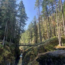 Ohanapecosh Campground