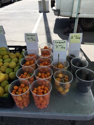 Murrieta Farmer’s Market by null