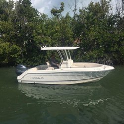Reef Marine