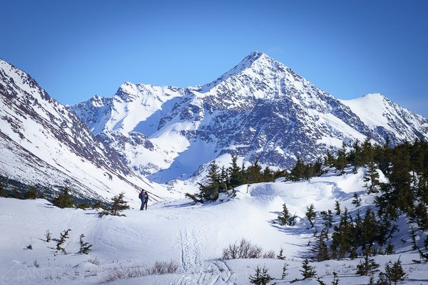 Williwaw Lakes Trail by null