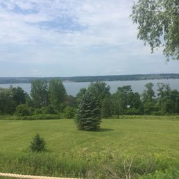 a view of a lake and a grassy field