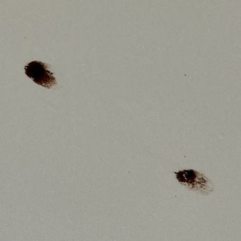 Big Rock Candy Mountain Resort - Blobs of blood clot like material on ceiling and 4 inch dust balls along sides of the bed were not appealing. - Hotels Near Me - Marysvale, Utah Big Rock Candy Mountain Resort - Blobs of blood clot like material on ceiling and 4 inch dust balls along sides of the bed were not appealing. - Hotels Near Me - Marysvale, Utah