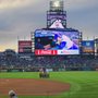 Photo of Dream Baseball Tours