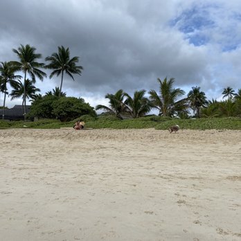 Kailua Beach Park - Parks Near Me - Kailua, Hawaii Kailua Beach Park - Parks Near Me - Kailua, Hawaii