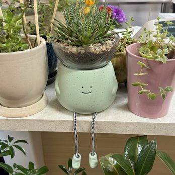 8 Star K - Cute succulents throughout for decoration. - Korean Near Me - Yucca Valley, California 8 Star K - Cute succulents throughout for decoration. - Korean Near Me - Yucca Valley, California