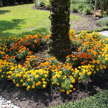 South Tide Services - Landscaping Near Me - Ocoee, Florida