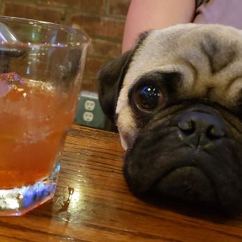 Small Change - Simon is a mainstay at Small Change. Want to meet him? Come on by! - Dive Bars Near Me - St. Louis, Missouri