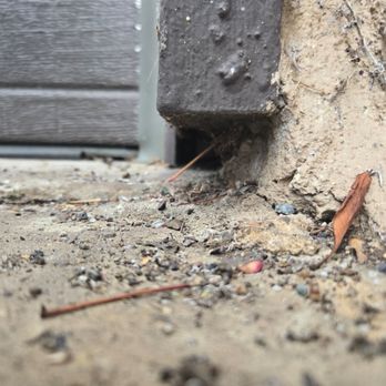Lenards Pest Professionals - Pest Control Near Me - Murrieta, California Lenards Pest Professionals - Pest Control Near Me - Murrieta, California