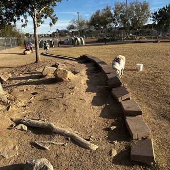 Sunset Park - Large dog side of dog park - Dog Parks Near Me - Las Vegas, Nevada