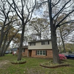 Bayview Tree Service