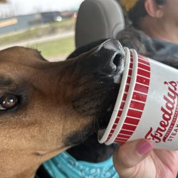 Freddy's Frozen Custard & Steakburgers - Pup cone for Buck. Whipped cream on his nose. Who knew? Dogs love custard