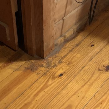 Yogi Bear's Jellystone Park - All the floors were covered in filth/mold? - Campgrounds Near Me - Luray, Virginia Yogi Bear's Jellystone Park - All the floors were covered in filth/mold? - Campgrounds Near Me - Luray, Virginia