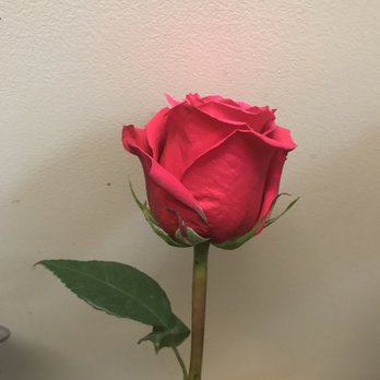 Posh Petals - Florists Near Me - Grand Rapids, Michigan Posh Petals - Florists Near Me - Grand Rapids, Michigan