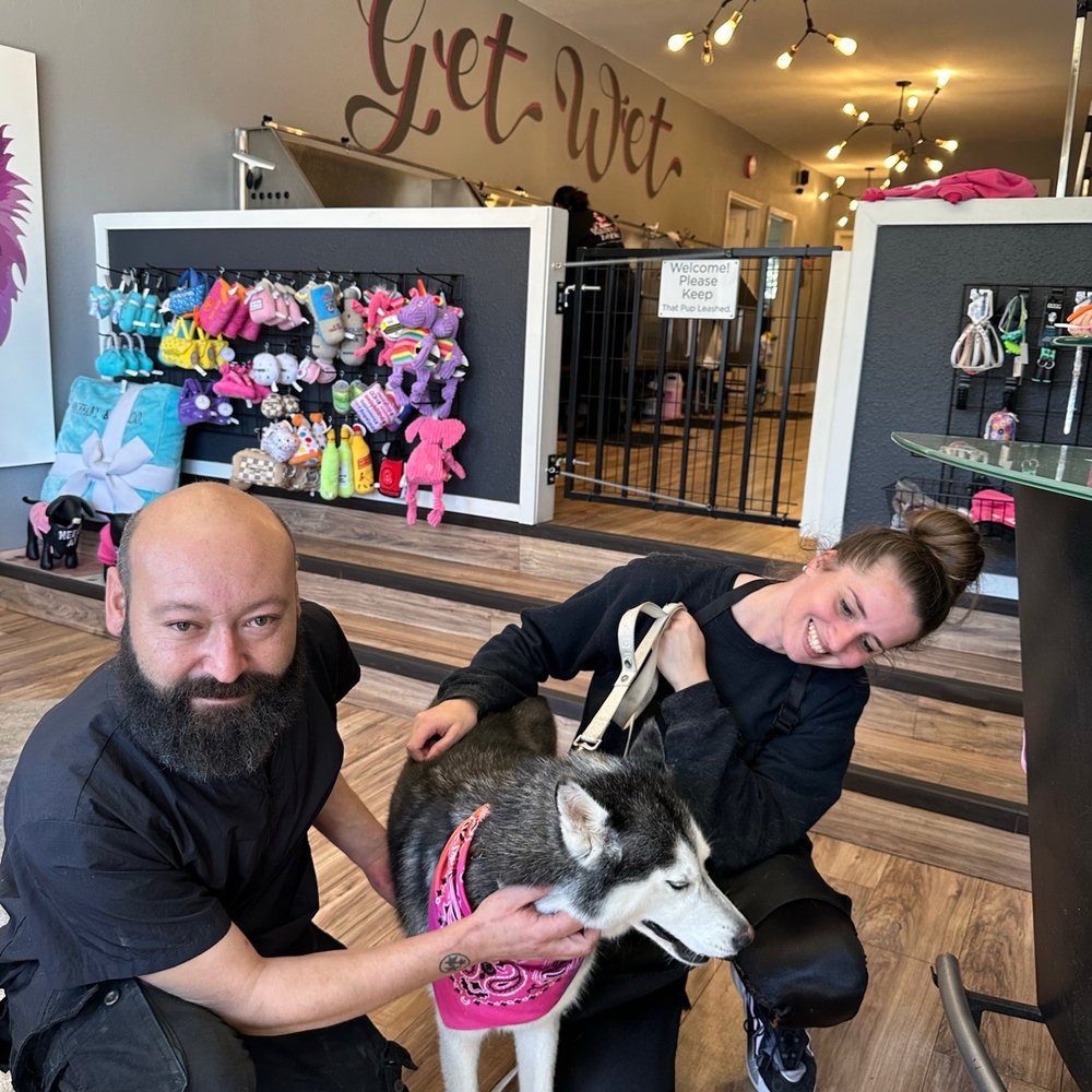 Bitches N Bubbles - Pet Groomers Near Me - Long Beach, California Bitches N Bubbles - Pet Groomers Near Me - Long Beach, California