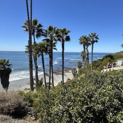 Swami's Seaside Park