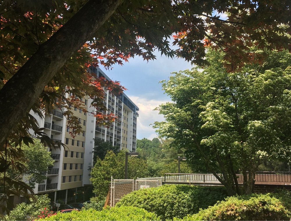 LAKESIDE PLAZA CONDOMINIUM Updated August 2024 3800 Powell Ln