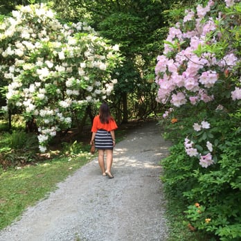 Washington Park Arboretum - Really enjoyed this walk! - Parks Near Me - Seattle, Washington Washington Park Arboretum - Really enjoyed this walk! - Parks Near Me - Seattle, Washington