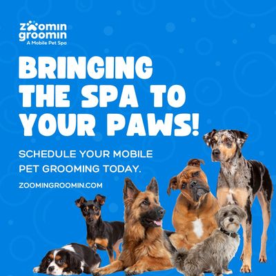 Book your appointment, call us for your personal quote. - We are open for business; accepting appointments for your fur-babies next spa day!