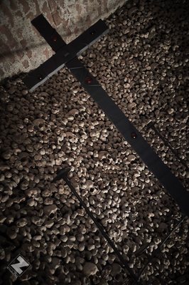 Kostnice u sv. Jakuba by null