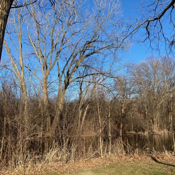 Half Day Forest Preserve - Des Plaines River - Parks Near Me - Vernon Hills, Illinois