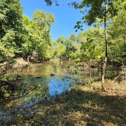Staunton River State Park - Views of a dried out swampy part of the river.