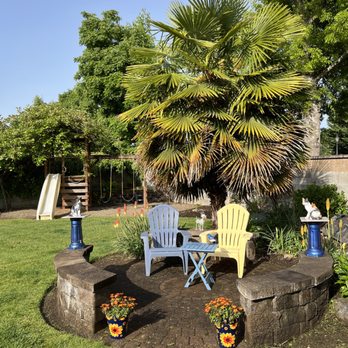 OregonScapes - Palm tree before it was trimmed. - Tree Services Near Me - Eugene, Oregon OregonScapes - Palm tree before it was trimmed. - Tree Services Near Me - Eugene, Oregon