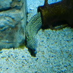 Erlebnispark Meeresaquarium Gmbh