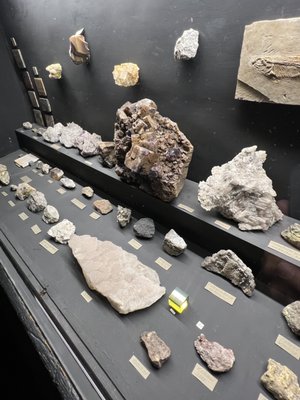 Teylers Museum by null