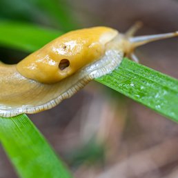 Jug Handle State Natural Reserve