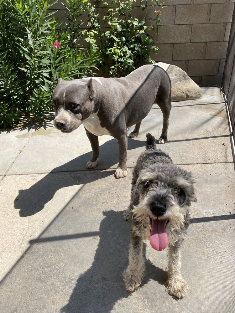 SMITH VETERINARY HOSPITAL Updated October 2024 26 Reviews 44623