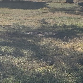 Kiwanis Park - Prairie dog enclosure at Kiwanis Park in Wichita Falls, Texas. - Parks Near Me - Wichita Falls, Texas Kiwanis Park - Prairie dog enclosure at Kiwanis Park in Wichita Falls, Texas. - Parks Near Me - Wichita Falls, Texas