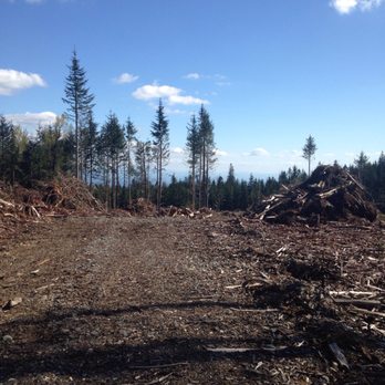 Tiger Mountain State Forest - Parks Near Me - Snoqualmie, Washington