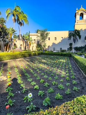 Alcázar Garden by null
