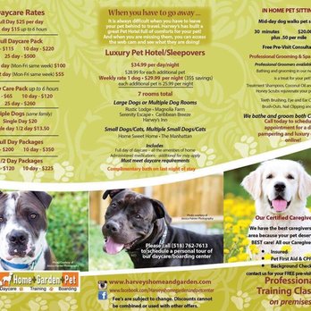 Harvey's Pet  - Pet hotel and daycare brochure - Pet Stores Near Me - Johnstown, New York