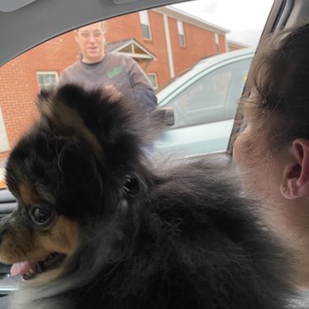 Claws & Paws Pet Grooming - Pet Groomers Near Me - Northport, Alabama Claws & Paws Pet Grooming - Pet Groomers Near Me - Northport, Alabama
