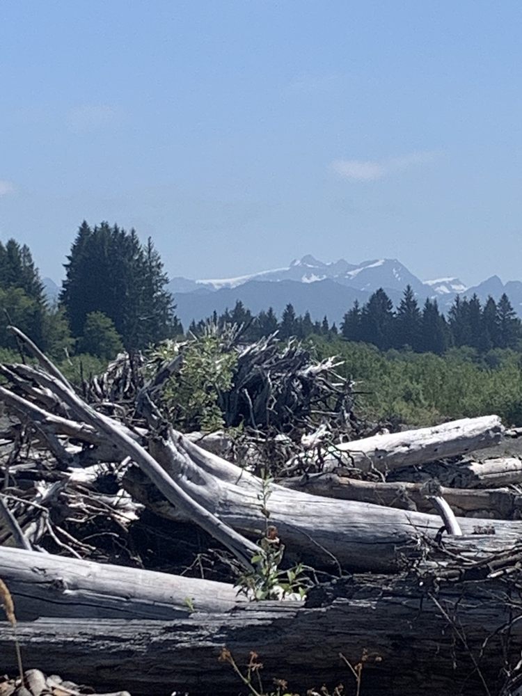 BLUE HERON GUIDE SERVICE Updated August 2024 29 Photos Forks